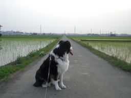 �������ӂ�X�C�}�[