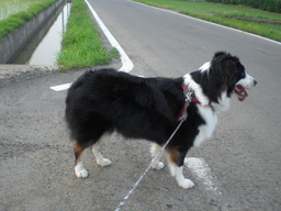 �������ӂ�X�C�}�[