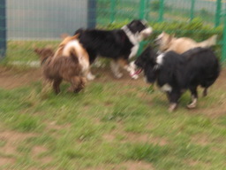 �������ӂ�X�C�}�[