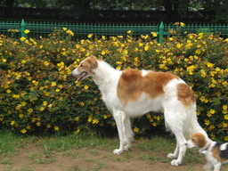 �������ӂ�X�C�}�[