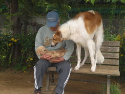 �������ӂ�X�C�}�[