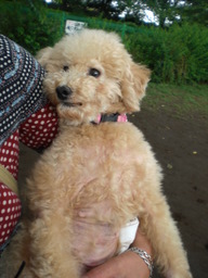 �������ӂ�X�C�}�[