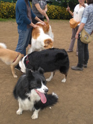 �������ӂ�X�C�}�[