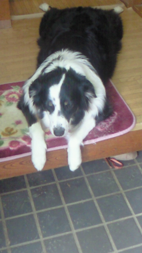 �������ӂ�X�C�}�[