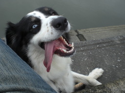 �������ӂ�X�C�}�[