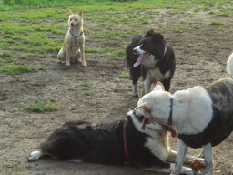 �������ӂ�X�C�}�[