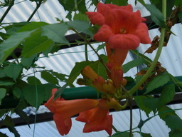 �������ӂ�X�C�}�[