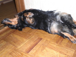 �������ӂ�X�C�}�[