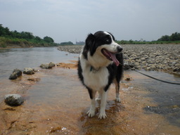 �������ӂ�X�C�}�[