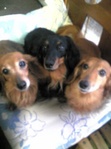 �������ӂ�X�C�}�[