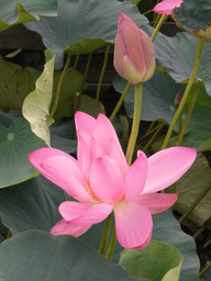 �������ӂ�X�C�}�[