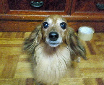 �������ӂ�X�C�}�[