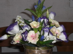 �������ӂ�X�C�}�[