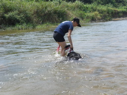 �������ӂ�X�C�}�[