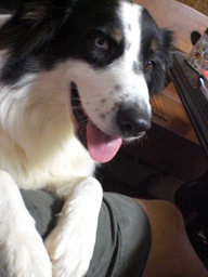 �������ӂ�X�C�}�[