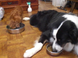 �������ӂ�X�C�}�[