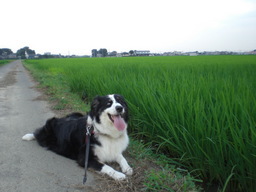 �������ӂ�X�C�}�[