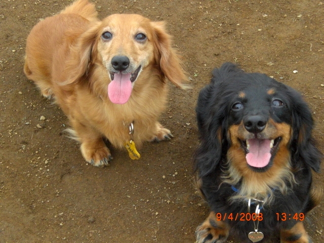 �������ӂ�X�C�}�[