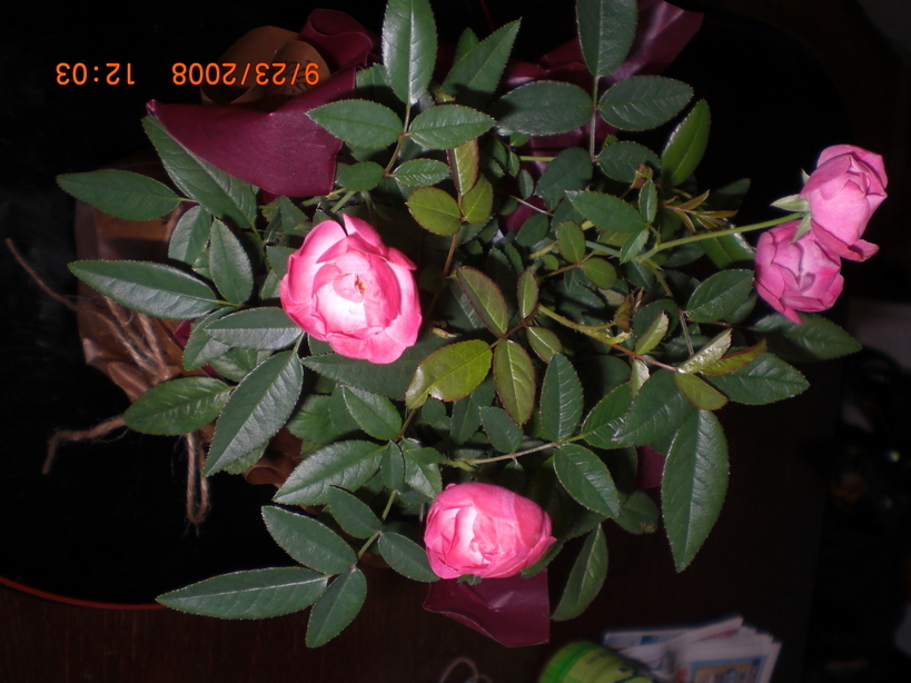 �������ӂ�X�C�}�[