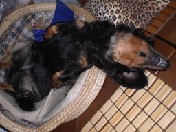 �������ӂ�X�C�}�[