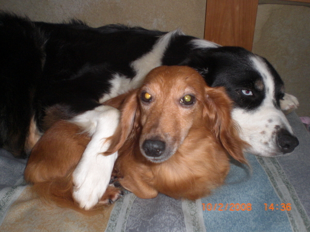 �������ӂ�X�C�}�[