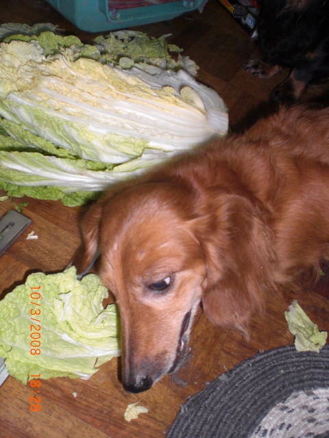 �������ӂ�X�C�}�[