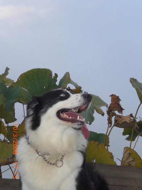 �������ӂ�X�C�}�[