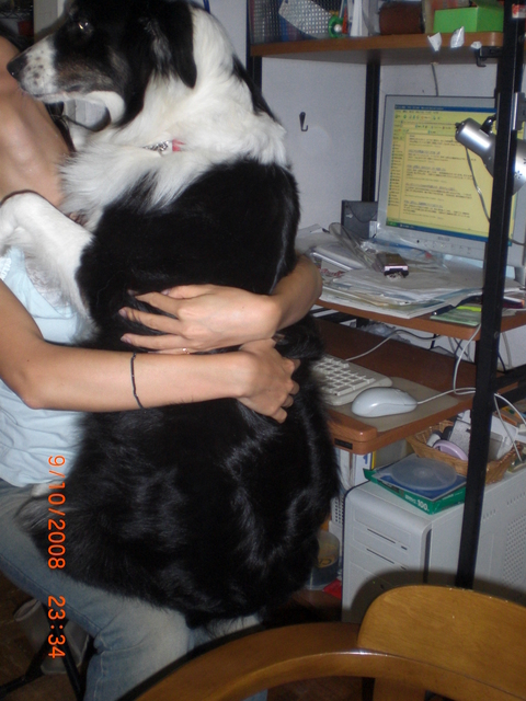 �������ӂ�X�C�}�[