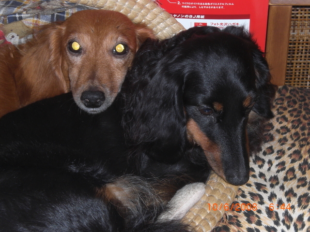 �������ӂ�X�C�}�[