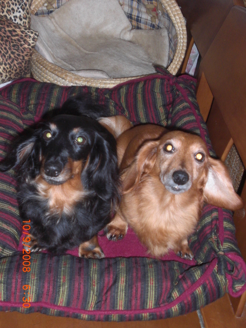 �������ӂ�X�C�}�[