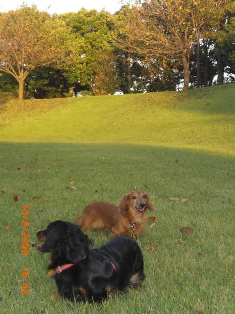 �������ӂ�X�C�}�[