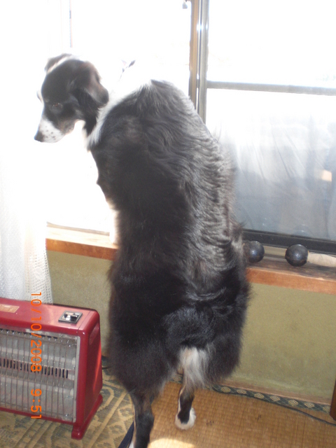 �������ӂ�X�C�}�[