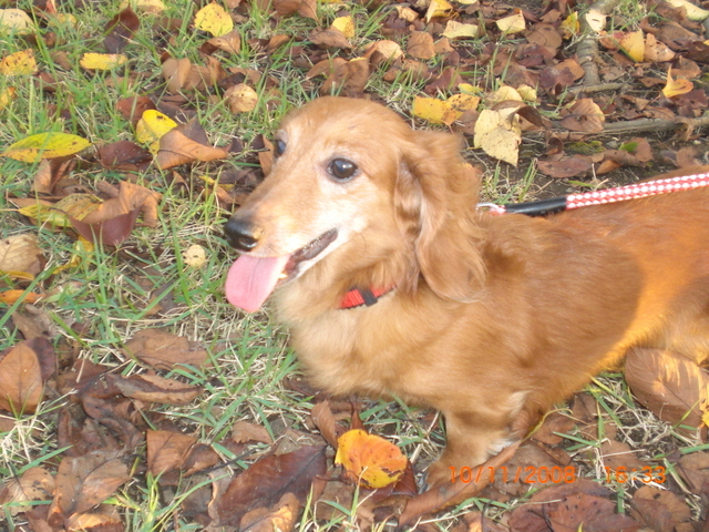 �������ӂ�X�C�}�[