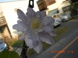 �������ӂ�X�C�}�[