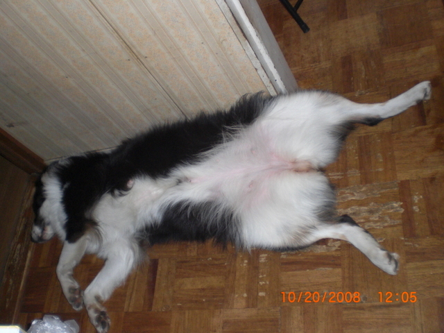 �������ӂ�X�C�}�[