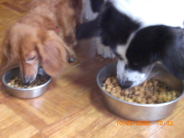 �������ӂ�X�C�}�[