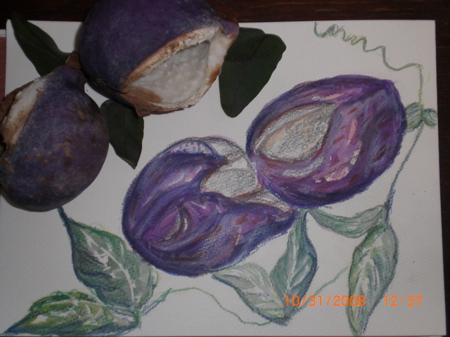 �������ӂ�X�C�}�[