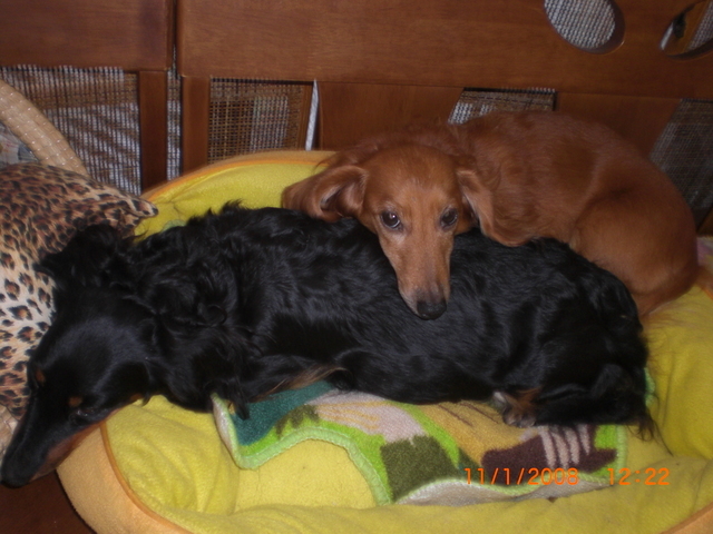 �������ӂ�X�C�}�[