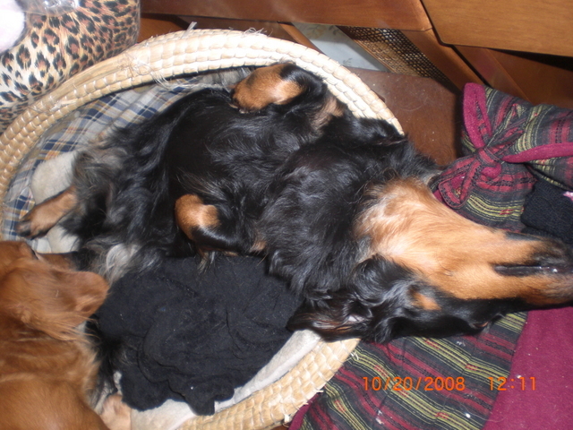 �������ӂ�X�C�}�[