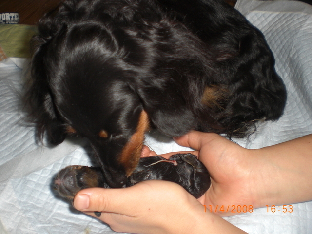 �������ӂ�X�C�}�[