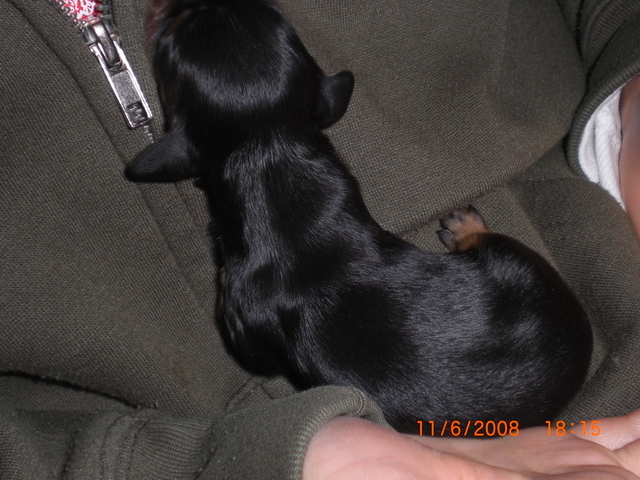 �������ӂ�X�C�}�[