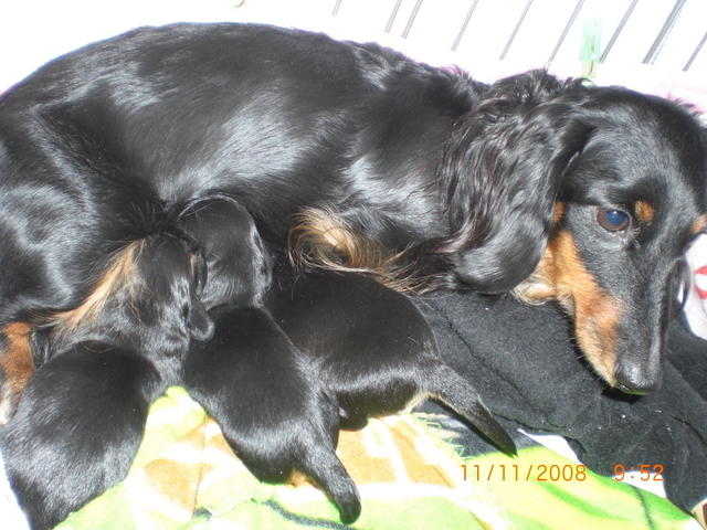 �������ӂ�X�C�}�[