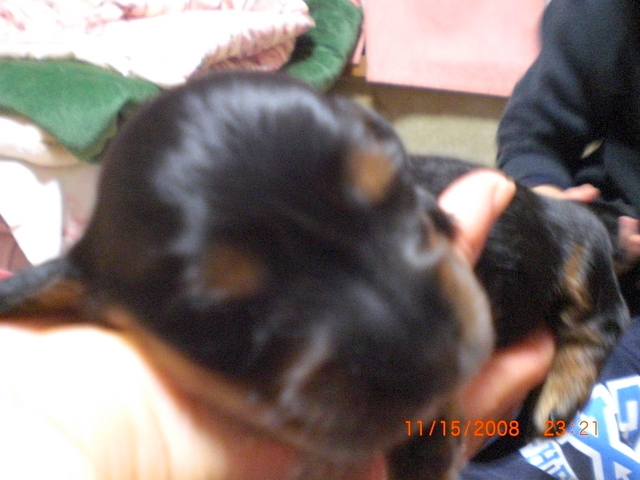 �������ӂ�X�C�}�[