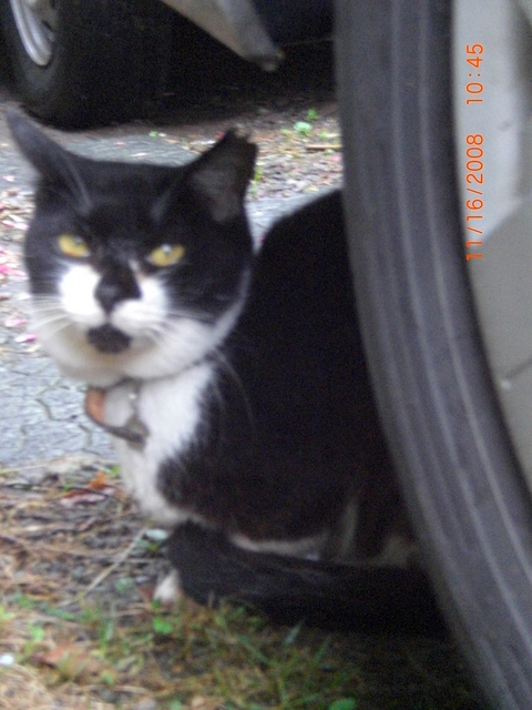 �������ӂ�X�C�}�[