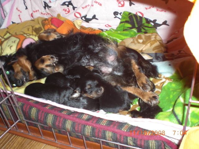 �������ӂ�X�C�}�[