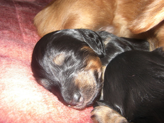 �������ӂ�X�C�}�[