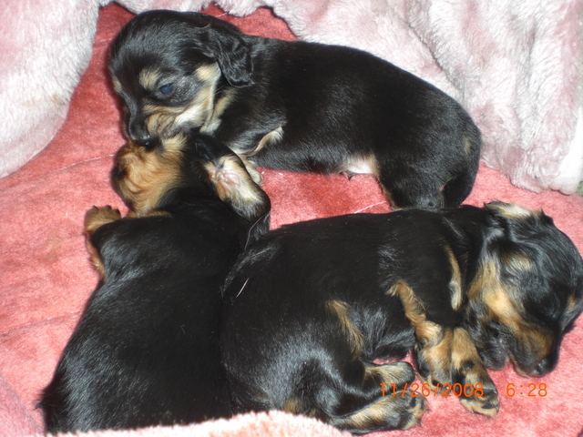 �������ӂ�X�C�}�[