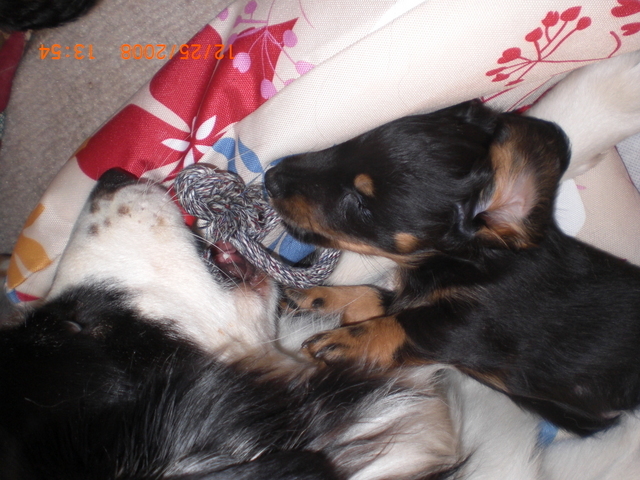 �������ӂ�X�C�}�[