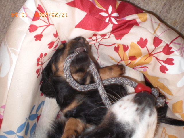 �������ӂ�X�C�}�[