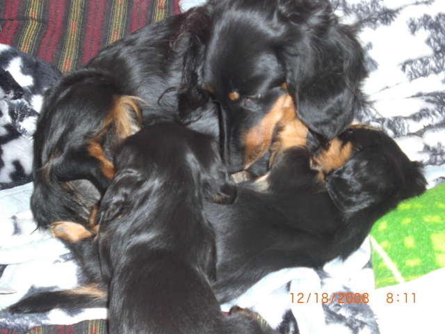 �������ӂ�X�C�}�[